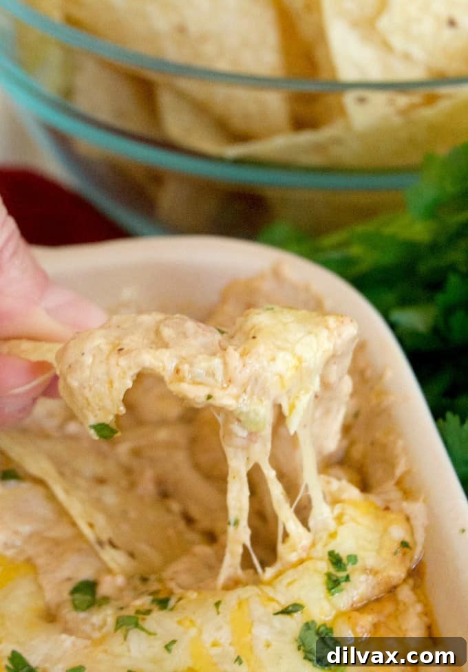 This Chicken Taco Dip with refried beans, chicken, Shamrock Farms Zesty Jalapeño Sour Cream and cheese is a perfect addition to your Cinco De Mayo menu.