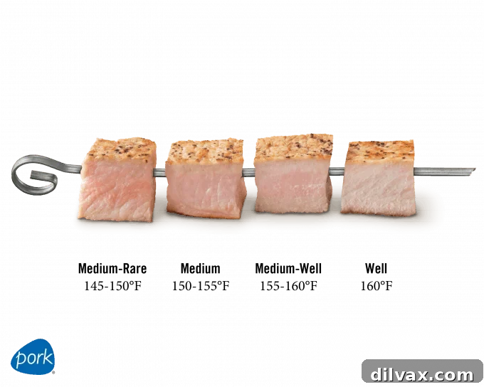 Kabob with pork and recommended cooking temperatures. Kabob with pork and recommended cooking temperatures.