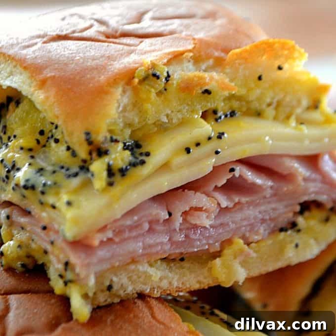 Mastering Pork Cuts 8 Ham and Cheese Party Sandwiches.