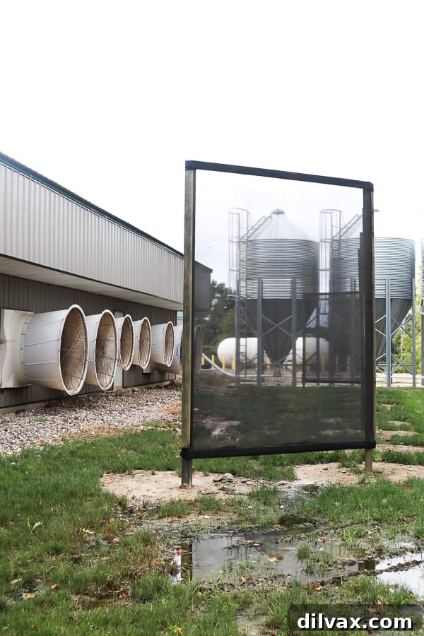 Pork Cuts Explained 4 Reicks View Farms air filtration system