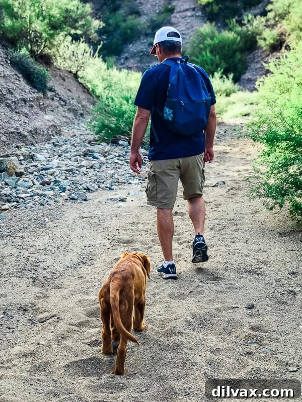 Furry Friend Friday: Potty Talk 4 Hiking the sandy Box Canyon of the Hassayampa Trail with Logan and his dad, navigating challenging terrain.