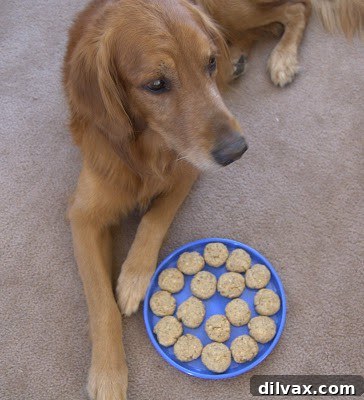Delicious homemade dog biscuits cooling on a rack, perfect for pet treats.