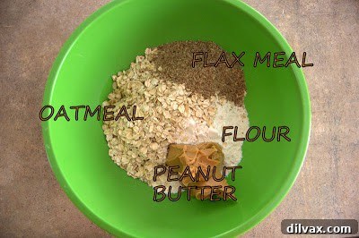 Mixing dry ingredients for dog biscuits: flour, oatmeal, peanut butter, and flaxseed.