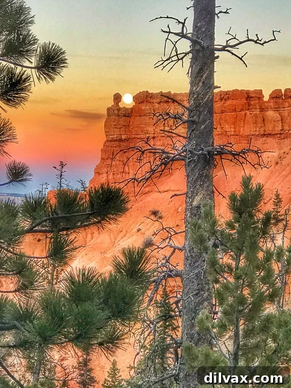 Furry Friend Friday: Pawsitively Perfect Southern Utah Adventures 11 Full moon rising over Bryce Point at Bryce Canyon National Park, highlighting the park's majestic beauty.