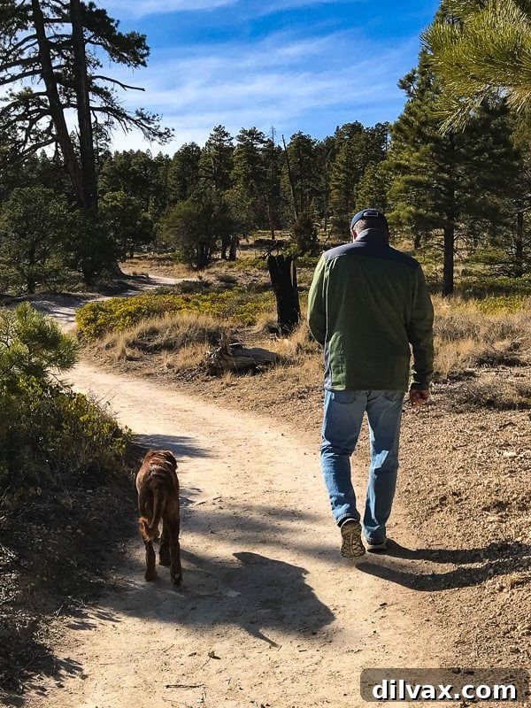 Furry Friend Friday: Pawsitively Perfect Southern Utah Adventures 9 Logan the Golden Dog and dad enjoying a dog-friendly hike along Bryce Canyon Rim Trail.