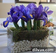 Midweek Marvels 6 Love for Lilies