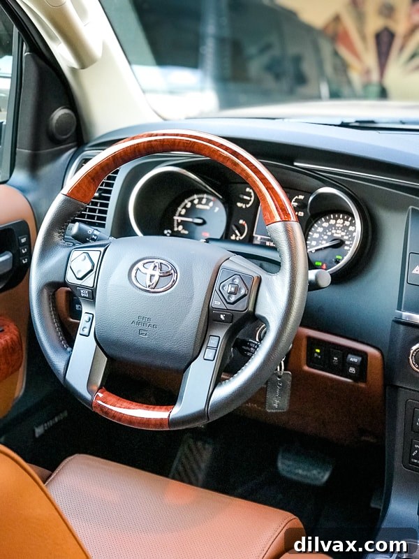 Furry Friend Friday Family 10 The luxurious interior of the 2019 Toyota Sequoia Platinum from the driver's perspective, highlighting its comfort and advanced features.