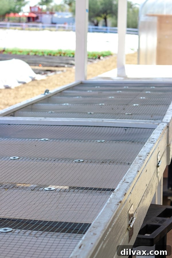Innovative produce drying rack at Steadfast Farm, designed for optimal air circulation.