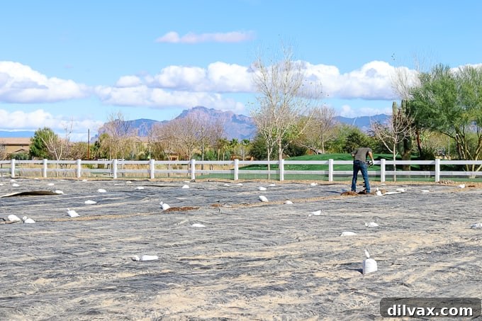 A farmer diligently working in the field at Steadfast Farm, Mesa, AZ.