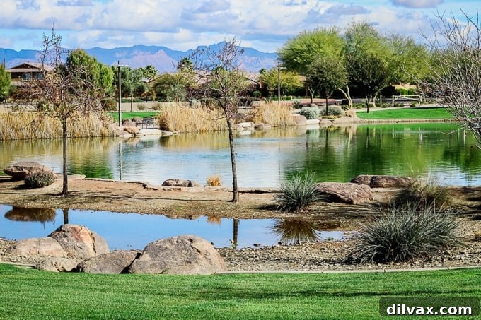 View of the community park from Steadfast Farm, Mesa, AZ, showcasing its integrated environment.