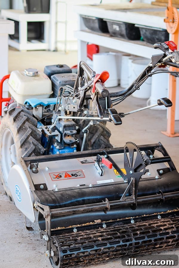 A BCS walk-behind tractor in action at Steadfast Farm, Mesa, AZ, demonstrating efficient small-scale farming.