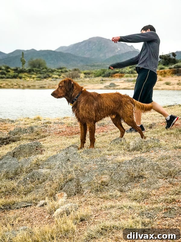 Furry Friend Friday: Closer Hearts, Happier Paws 5 Logan the Golden Dog and Cameron Feifer enjoying a hike at Bartlett Lake, AZ.
