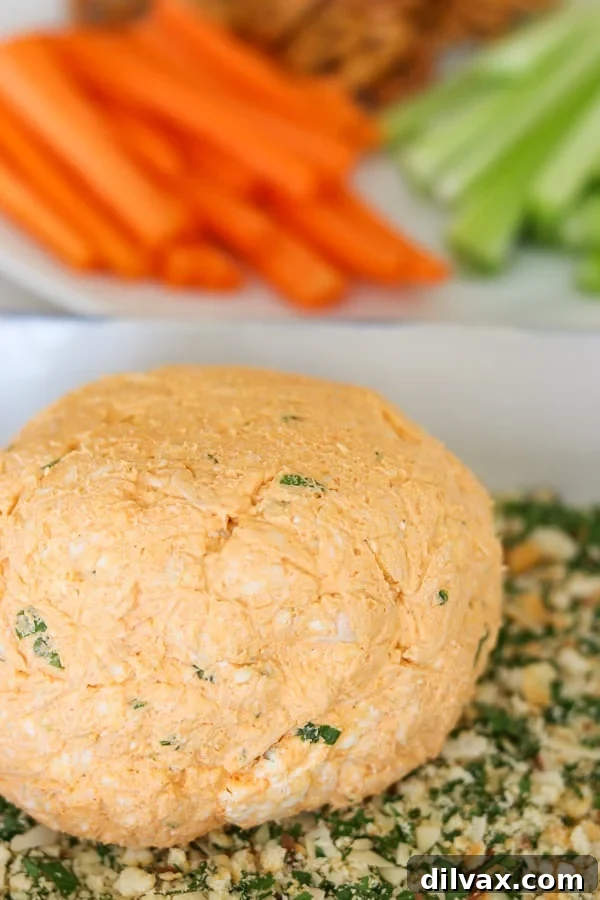 Close-up of a perfectly round Buffalo Chicken Cheese Ball, fully covered in its savory crumb coating, ready to be served.