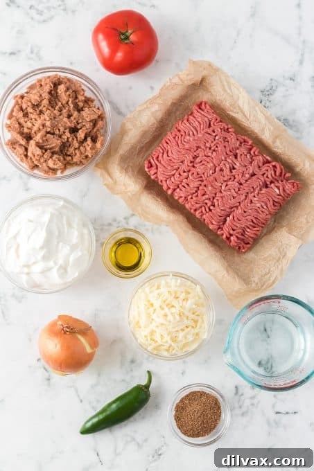 Ingredients for Easy Layered Taco Dip.