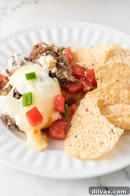 Tortilla chips for a taco seasoned appetizer dip.