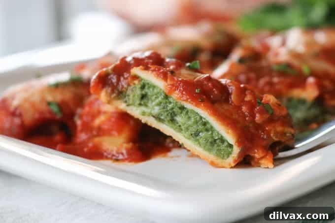 A bite of Spinach and Cheese Manicotti. A close-up of a delectable bite of Spinach and Cheese Manicotti, revealing the rich, creamy filling of cottage cheese and spinach, encased in a tender homemade crepe, all generously coated in a flavorful marinara sauce. This comforting dish is a timeless family favorite, promising a harmonious blend of textures and tastes.