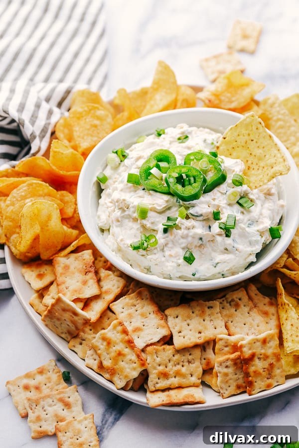 Jalapeño Ranch Dip with a chip surrounded by chips and crackers. A close-up view of the creamy Jalapeño Ranch Dip, perfectly scooped onto a crisp tortilla chip, with the bowl of dip nestled amidst an inviting spread of various chips and crackers. The vibrant green flecks of jalapeño are visible, hinting at the dip's delightful kick. The texture is smooth and inviting, promising a burst of flavor with every bite.