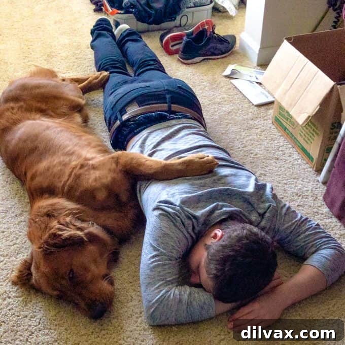 Pawsome Mothers Day Friday 5 Logan the Golden Dog naps peacefully on the floor beside our son, enjoying the quiet moments of Mother's Day.