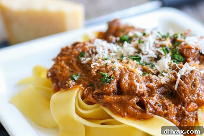 Braised Short Ribs with Parmesan cheese. Perfectly braised short ribs garnished with freshly grated Parmesan cheese, ready to be served as a hearty meal.