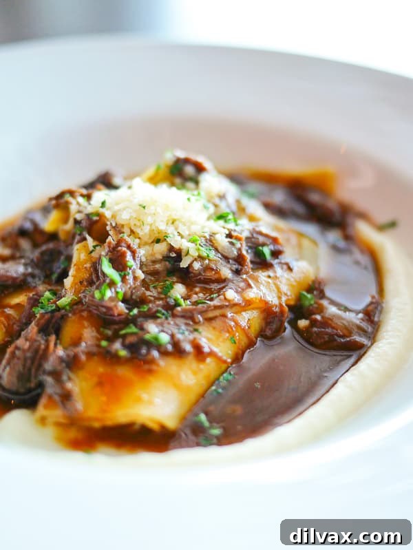 Braised Beef Cheese over Buckwheat Pappardelle on Princess Cruises. Close-up of Buckwheat Pappardelle with Nebbiolo-braised beef cheeks, a specialty dish served at Sabatini’s on Princess Cruises.
