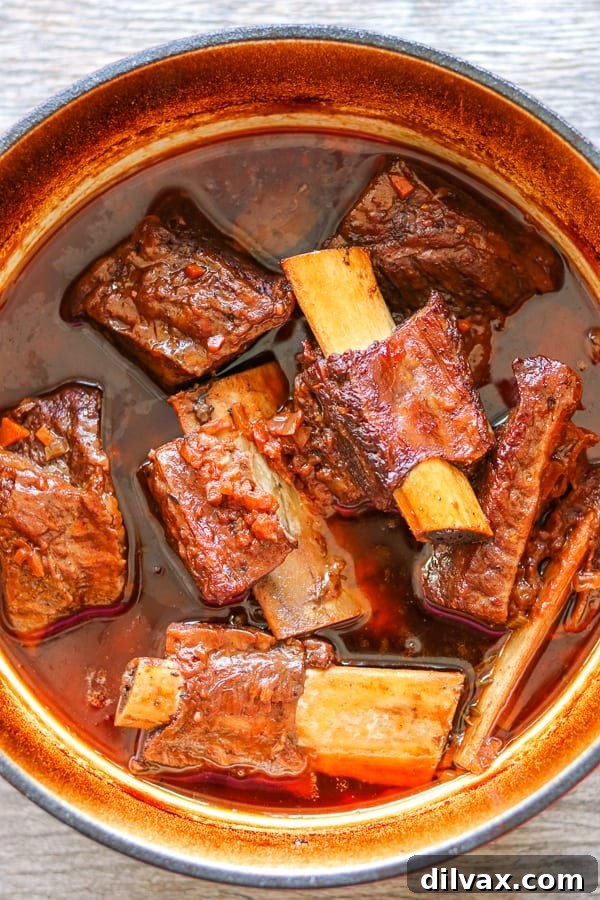 Braised short ribs in pot. Braised short ribs simmering in a Dutch oven, showcasing the rich sauce and tender meat.