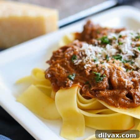 Luxurious Braised Short Ribs 2 Braised Short Ribs served over Pappardelle pasta, garnished with Parmesan cheese and fresh herbs.