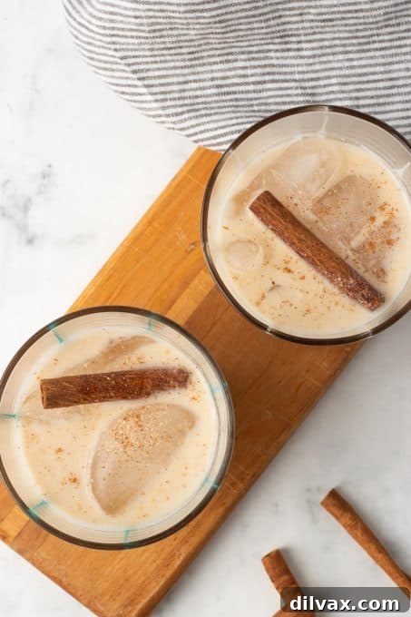 Two glasses full of a cinnamon rice milk drink.