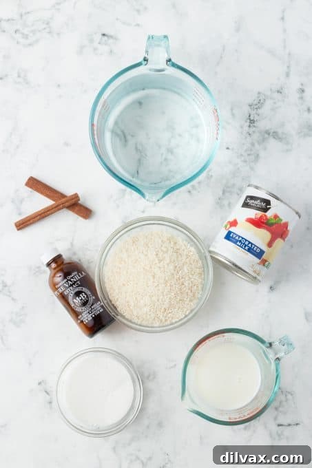 Ingredients to make a Horchata.
