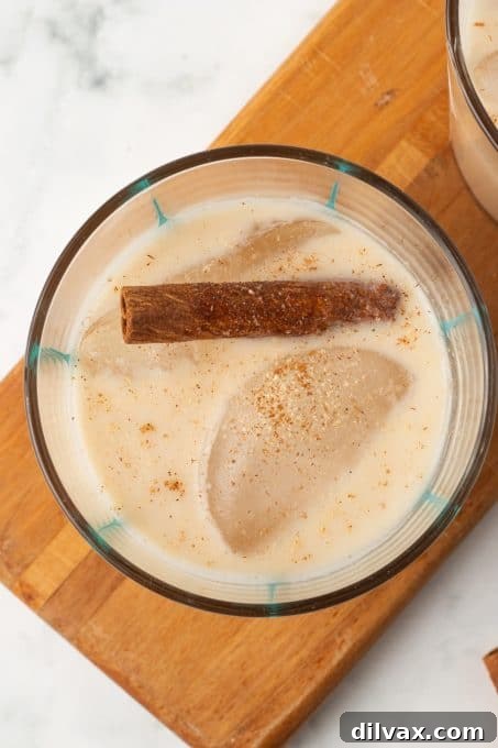 A cinnamon stick and ice cube in a Mexican rice drink.