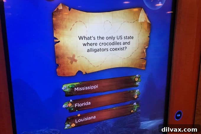 Interactive entertainment for the whole family with PlayOcean. Engage in interactive games and fun with Princess Cruises PlayOcean.