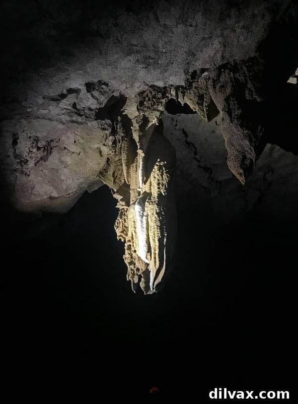 A stalactite in the Crystal Caves in Belize. A large, striking stalactite hanging from the ceiling of the Crystal Caves in Belize, illuminated by light.