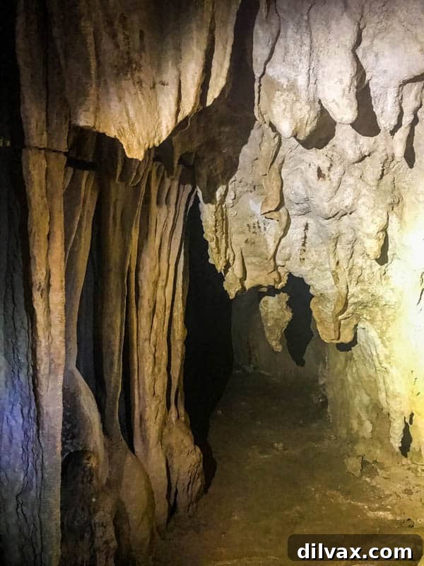Crystal Cave Stalactites in Belize. Detailed view of multiple stalactites hanging from the ceiling within the Crystal Caves in Belize, showcasing their unique formations.