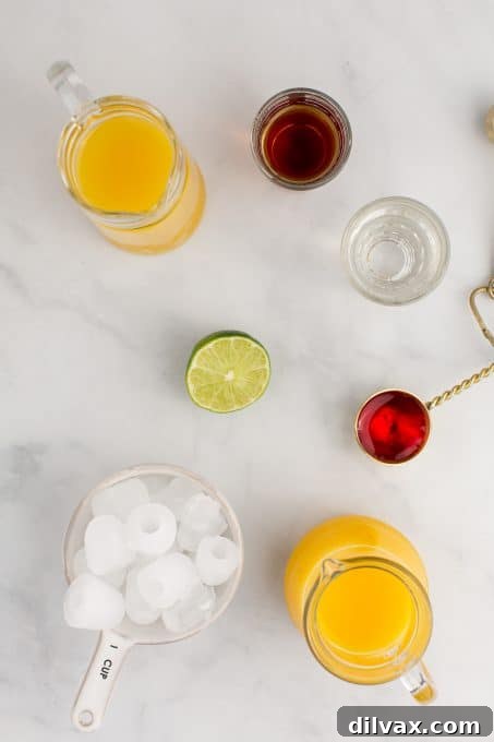 Paradise Blend 4 Fresh ingredients laid out for a Frozen Bahama Mama, including bottles of rum, orange juice, pineapple juice, grenadine, and limes.