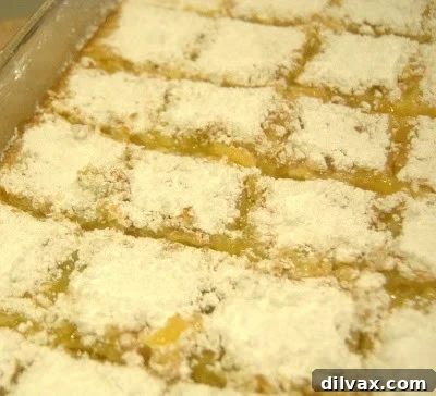 Perfectly cut lemon squares dusted with powdered sugar, ready to serve.