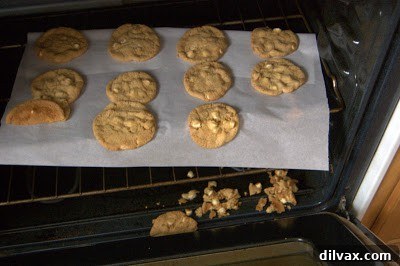 A baking sheet with white chocolate choco chip cookies partially slipped into an open oven, showing the parchment paper sliding.