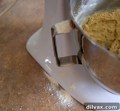 A humorous photo of flour dust covering a kitchen counter and the side of a stand mixer, a common baking mishap when adding dry ingredients too quickly.
