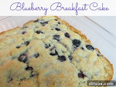 Delicious blueberry breakfast cake, perfect for mornings