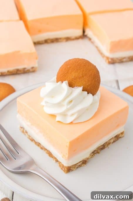 Orange Cloud Nine Bars 11 Close-up of Orange Creamsicle Dream Bars with distinct Nilla wafer crust, vanilla cheesecake, and orange cream topping