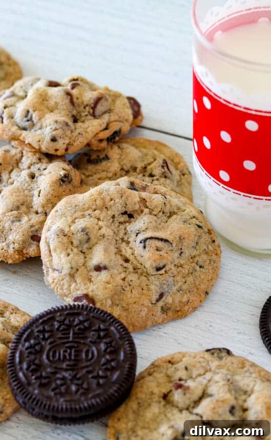 No one can resist and Oreo Chocolate Chip Cookie! No one can resist an Oreo Chocolate Chip Cookie, a delightful fusion of two classic treats.