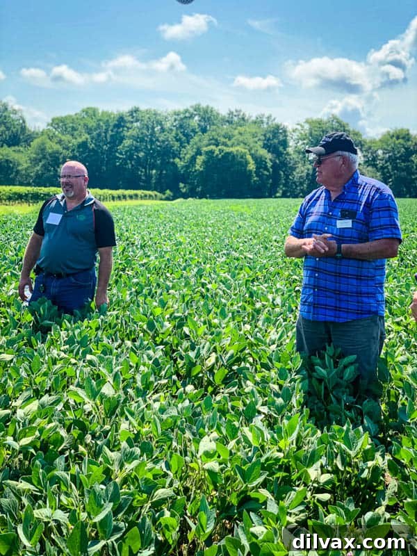 Soy: The Unassuming Powerhouse 5 William and Joe Layton of Lazy Day Farms in their soybean field.