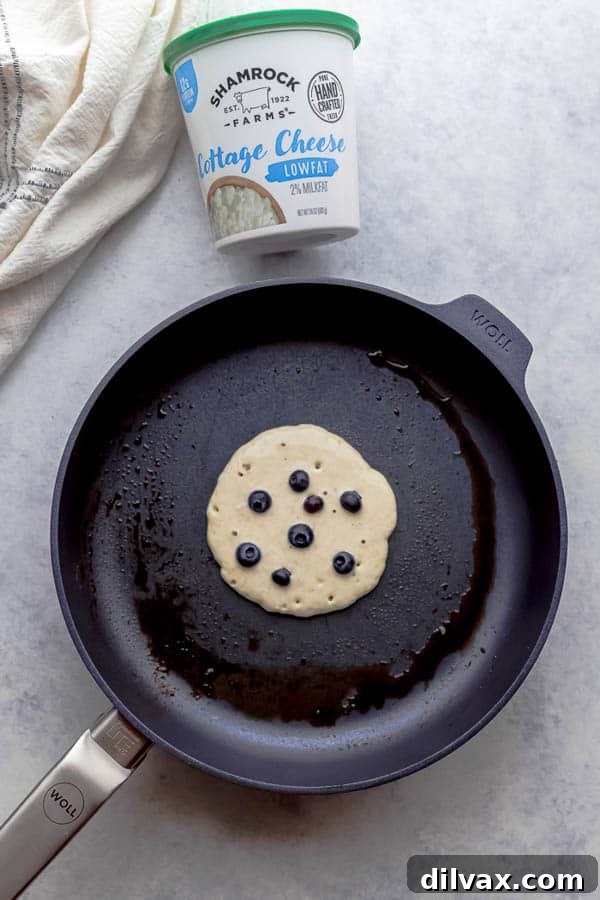 Perfectly Cooked Cottage Cheese Pancake A single Lemon Blueberry Cottage Cheese Pancake, golden brown with visible blueberries, highlighting the fluffy interior, a testament to the quality of Shamrock Farms cottage cheese.