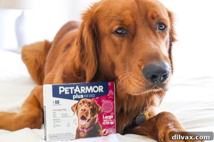 Happy Golden Retriever Logan with a box of PetArmor Plus, symbolizing comprehensive pet care.