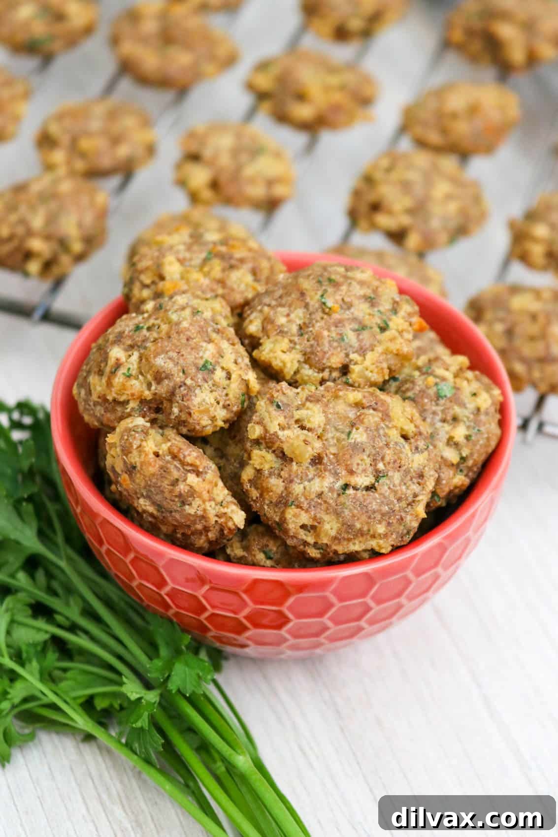 A delicious homemade Chicken and Cheese Dog Treat recipe spread out, ready to be pinned.