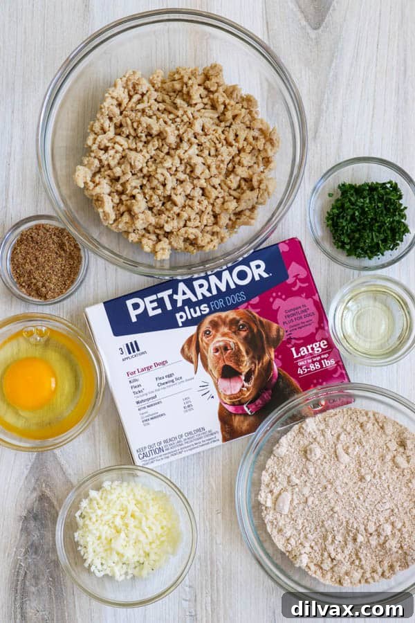 Cheesy Chicken Bites for Happy Pups 3 A collection of ingredients for Chicken and Cheese Dog Treats alongside a box of PetArmor Plus, emphasizing a holistic approach to pet care.