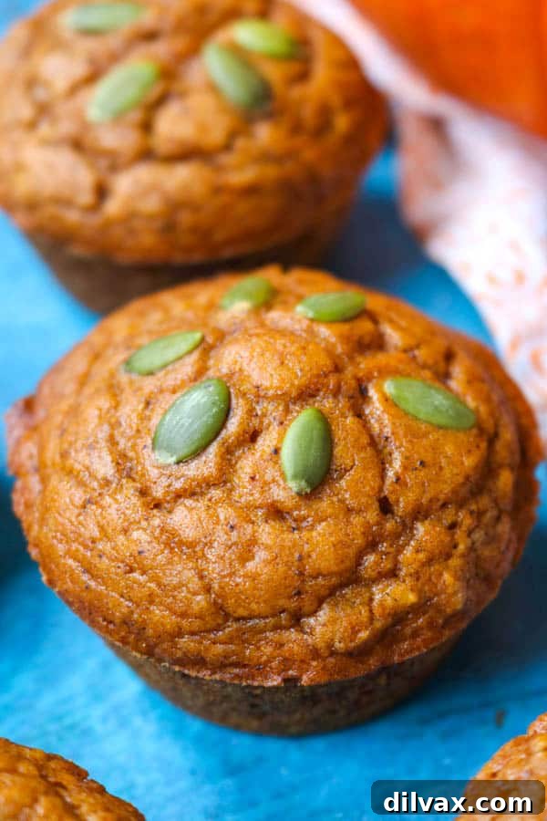 A perfectly baked Dairy-Free Pumpkin Muffin garnished with crunchy pepitas on top.