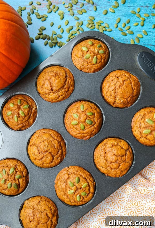 Freshly baked Dairy-Free Pumpkin Muffins cooling in a muffin tin, ready to be enjoyed.