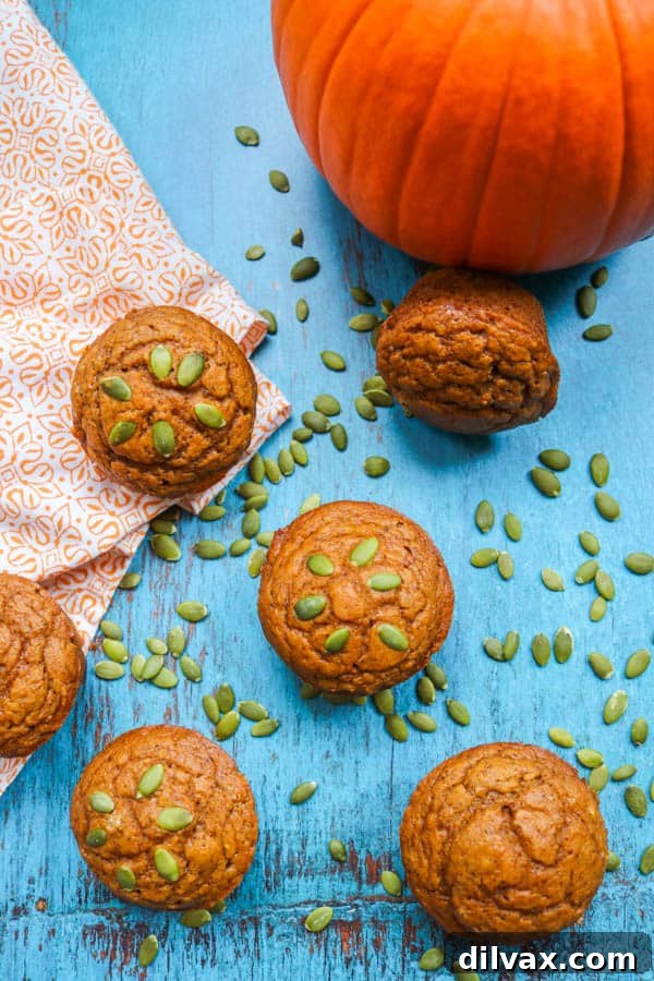 A delightful arrangement of dairy-free pumpkin muffins, showcasing their golden-brown tops.