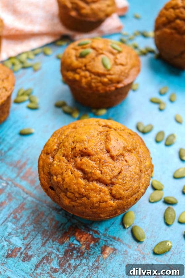 A single, perfectly baked Dairy-Free Pumpkin Muffin, showcasing its golden-brown top and tender interior.