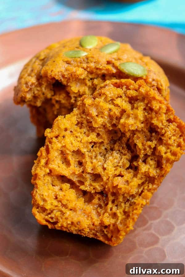 The perfectly baked, moist interior of a Dairy-free Pumpkin Muffin, showing its tender crumb.