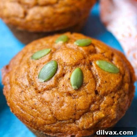 A Dairy-Free Pumpkin Muffin topped with pepitas.